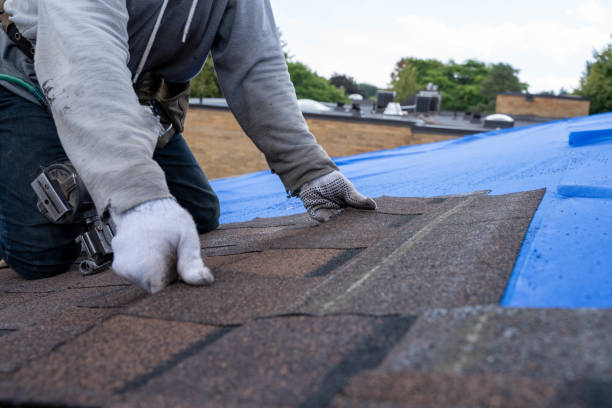 Best Metal Roofing Contractor  in Glouster, OH